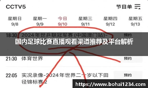 国内足球比赛直播观看渠道推荐及平台解析